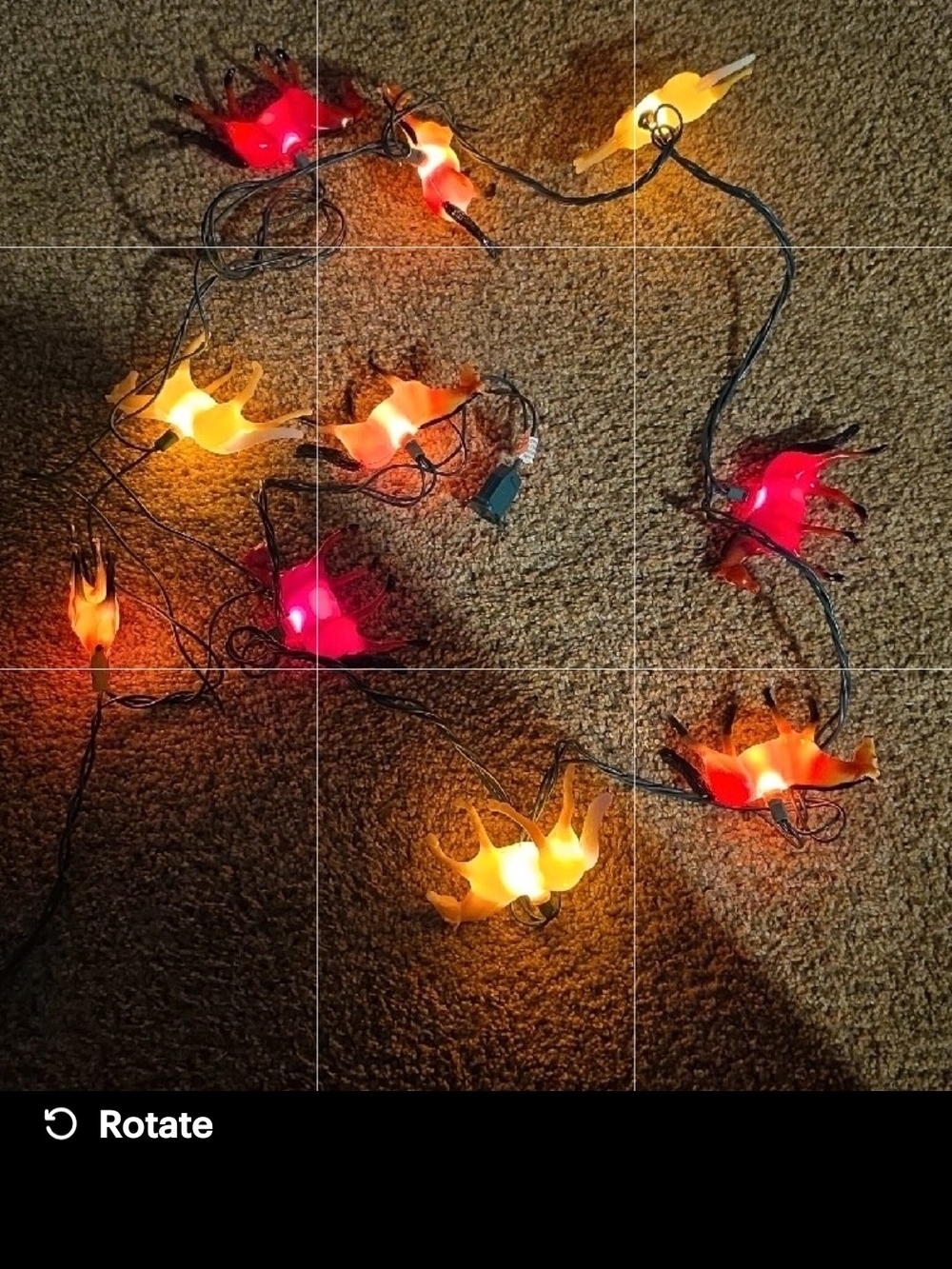 Rivers Edge 10 Horse Light Set - Red & Orange